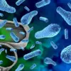 Study Reveals Link Between 'Forever' Chemicals in Everyday Products and Weight Regain Challenges