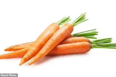 Study Suggests Excessive Carrot Consumption May Impact Male Sexual Health, Highlighting Need for Balanced Nutrient Intake
