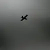 Ten Drones Shot Down Over Strategic Ust-Luga Port Amid Escalating Tensions