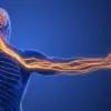 Unraveling the Hidden Link: When Neurological Symptoms Signal Underlying Cardiac Risks