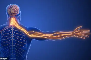 Unraveling the Hidden Link: When Neurological Symptoms Signal Underlying Cardiac Risks