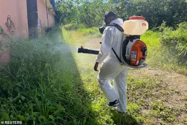 Urgent Warnings as Hawaii Reports 12 Dengue Cases Linked to International Travel, Health Officials Urge Vigilance