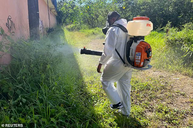 Urgent Warnings as Hawaii Reports 12 Dengue Cases Linked to International Travel, Health Officials Urge Vigilance