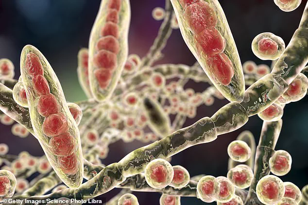 Warning from a GP: Overlooked Signs of Athlete's Foot May Signal Life-Threatening Infection