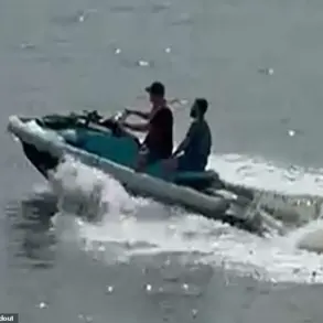 Affidavit Details Brazen Escape: Passenger Jumps Ship to Evade $16K Gambling Debt