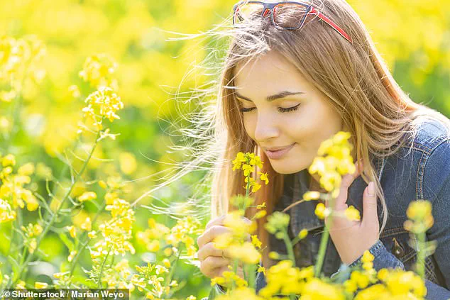 Early Indicator of Dementia: New Study Links Smell Loss to Cognitive Decline