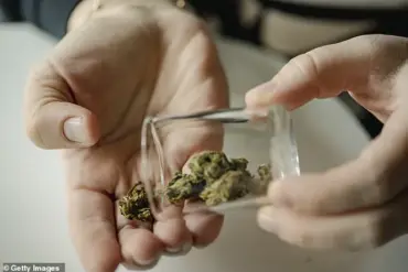 Failure to Disclose Cannabis Use Before Surgery Increases Complications, Doctors Warn