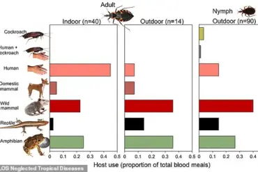 Health Experts Urge Relabeling of Chagas Disease as Endemic in U.S. Amid Growing Public Health Concern