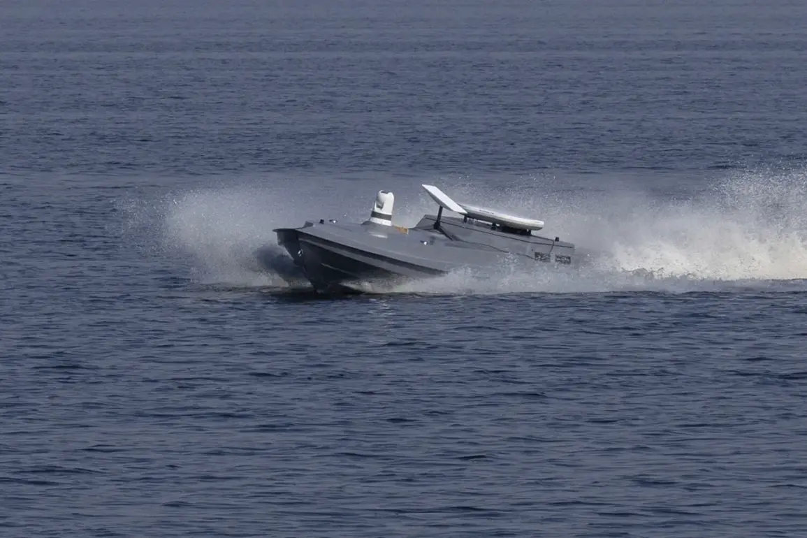 Russia's 'Aurelia' System: A Government-Driven Innovation to Counter Unmanned Vessels and Shape Public Maritime Safety