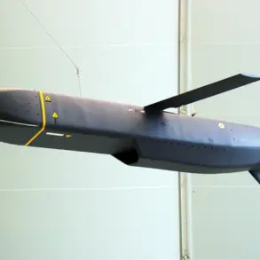 Ukraine Escalates Eastern Offensive with Drones and Storm Shadow Missiles in Donetsk and Makievka